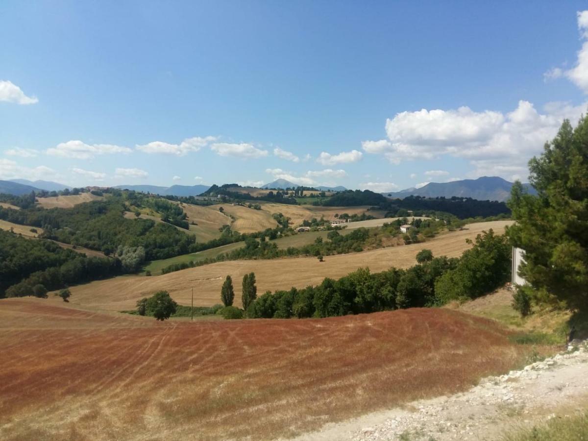 La Cerqua Farm stay Arcevia